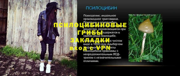 ALPHA PVP Покровск