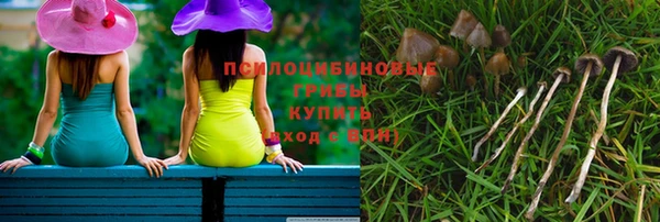 ALPHA PVP Покровск