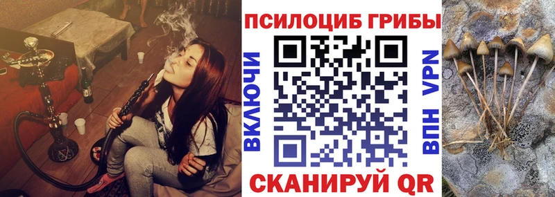 где купить наркотик  Макушино  Псилоцибиновые грибы Magic Shrooms 